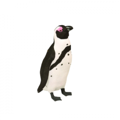 Galapagos Penguin Figure